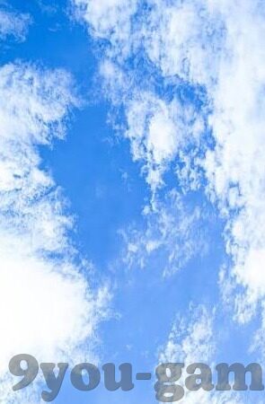 比分直播足球188-揭秘比分直播足球188，绿茵场上的实时心跳与数据狂欢