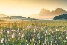 欧国联足球比分直播-欧国联足球比分直播，实时追踪，激情共享的足球盛宴