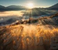 足球17092比分-足球17092比分，一场数字背后的激情与梦想