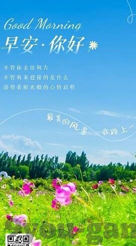 足球比分500-足球比分500，激情与数字的狂欢交响曲