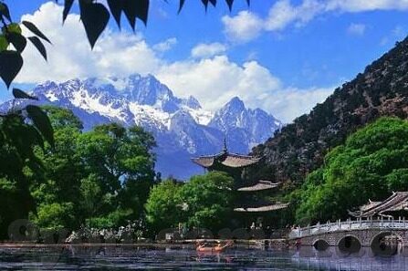 足球比分即時-足球比分即时，一场数字背后的速度与激情